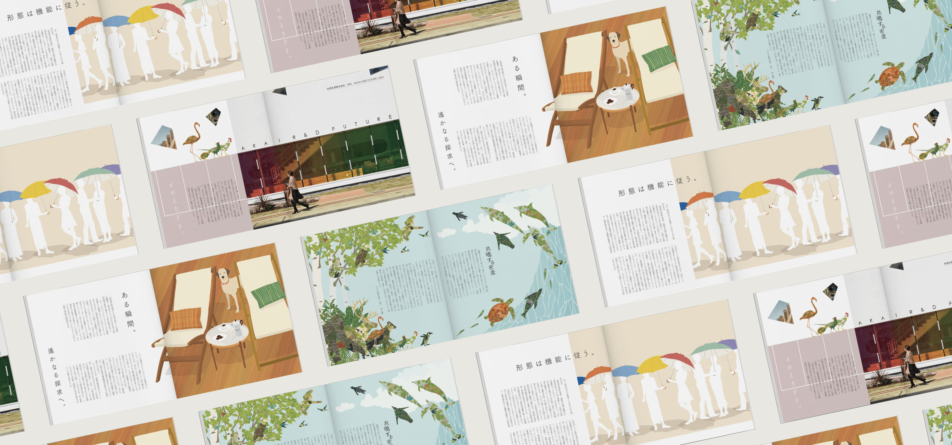 PICTURE BOOK